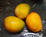 A picture of step 1 of Alphonso Mastani.