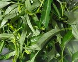 Foto langkah ke 4 dari resep 327. Tumis Kangkung Saus Tiram.