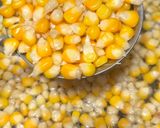 Foto langkah ke 1 dari resep Jagung Creamy Keju Lumer: Takjil Nusantara Favorit.