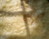 A picture of step 6 of Khaman dhokla.