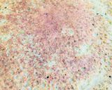 A picture of step 1 of Moong dal dosa.