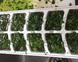 Foto del paso 1 de la receta: Perejil en aceite