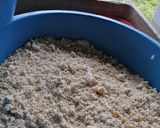 Foto del paso 5 de la receta: Tamales