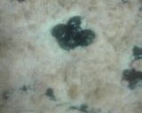 Foto del paso 7 de la receta: Torta de arándanos 🍇