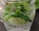 A picture of step 4 of Cucumber mint cooler.
