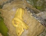 Foto langkah ke 3 dari resep Donat gula tidak bolong.