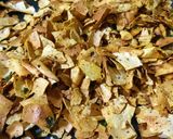 A picture of step 4 of Papad churi.