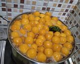 Foto langkah ke 4 dari resep Kolak biji salak kolkal.