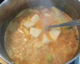 A picture of step 10 of Pickle chicken and Potato curry (Aloo Gosht Salan)🙄.