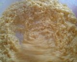 Foto langkah ke 2 dari resep Cookies coklat crunchy no mixer.
