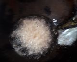 A picture of step 4 of Paneer Manchurian.