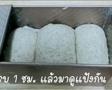 รูปขั้นตอนการทำที่ 5 ของ ขนมปังโฮลวีทนมสด นุ่มๆ (Whole Wheat Milk Bread) (สูตรนี้ไม่คลีนนะจ๊ะ)