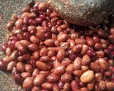 Foto langkah ke 2 dari resep 297.Bumbu Kacang (Sambal Bakso Aci/Cilok).
