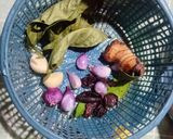 Foto langkah ke 1 dari resep Sayur Asem Betawi.
