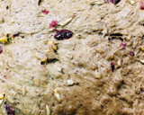 Foto del paso 7 de la receta: Orujo de uvas pan de centeno de queso 🥖