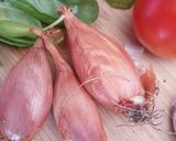 Une image de l'étape 1 de 🍅 Gaspacho.
