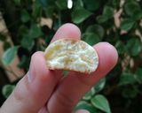 Foto langkah ke 4 dari resep Tamago Boro (Biskuit Telur) - Teflon(simple, easy cook).