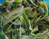 Foto langkah ke 1 dari resep Tumis Kangkung Tauge Saus Tiram.