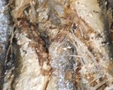 Foto langkah ke 2 dari resep Balado Ikan Kembung.