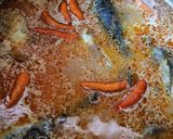 Foto langkah ke 4 dari resep Ikan Kuah Santan.