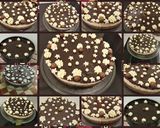 صورة لخطوة 13 من وصفة كيكة الباونتي 🍰🎂🎂🍰