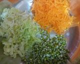 A picture of step 1 of Veg spring roll.