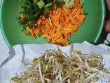 Lumpia sayur praktis