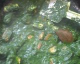 পালক পনির(palak paneer recipe in Bengali) রেসিপির ধাপ 8 ছবি