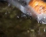 A picture of step 5 of Bread Chum chum.