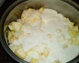 Foto del paso 1 de la receta: Dulce de manzanas