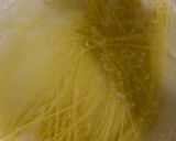 Foto langkah ke 1 dari resep Simple Spaghetti Carbonara.