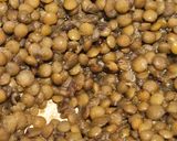 صورة لخطوة 3 من وصفة أرز بالعدس والشعيرية مع صلصة الكشري
