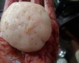 A picture of step 5 of Kakara pitha.