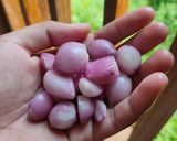 Foto langkah ke 2 dari resep Pepes Ikan Jelawat Super Simple.