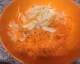 Foto del paso 1 de la receta: Ensalada repollo, zanahoria y manzana diet!
