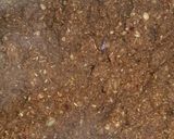 A picture of step 4 of Fry Fish masala.
