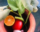 Foto del paso 1 de la receta: Ensalada caliente de yerba santa(La guá)
