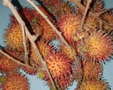 Foto langkah ke 1 dari resep Asinan rambutan segar.