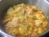 Sopa de gato
