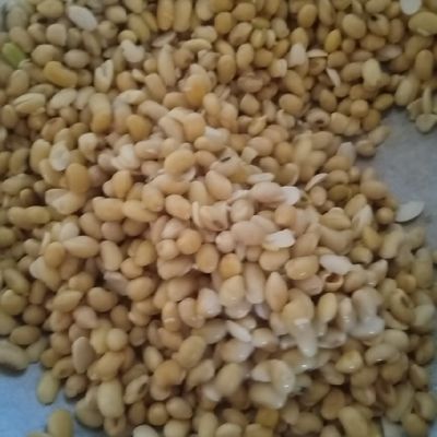 Langkah 2