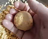 A picture of step 5 of Aata Suji ladoo.