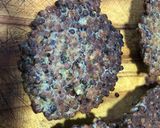 Foto del paso 4 de la receta: Hamburguesas de lentejas