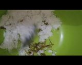 Foto langkah ke 4 dari resep Sate lilit khas Bali.