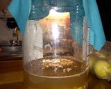 Foto del paso 1 de la receta: Brotes de lentejas