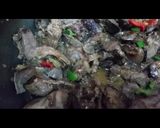 صورة لخطوة 3 من وصفة كبد وقوانص بالبصل والفلفل الألوان