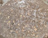 A picture of step 6 of Chocolate oats pancakes.