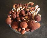 Foto del passaggio 6 della ricetta Minestra di ceci neri funghi pioppini e castagne