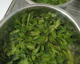 عکس مرحله 1 از دستور شربت نعنا خانگی(تمام مراحل)