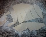 Foto del paso 3 de la receta: Orellas do entroido