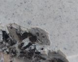 Foto del paso 5 de la receta: Helado Oreo